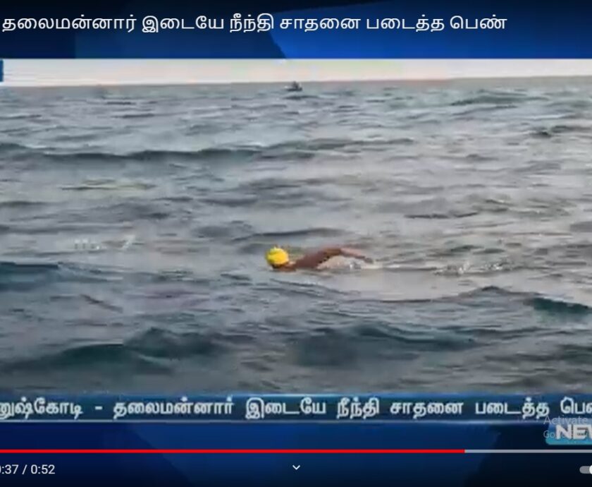 news 7